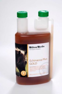Hilton Herbs Echinacea Plus Gold