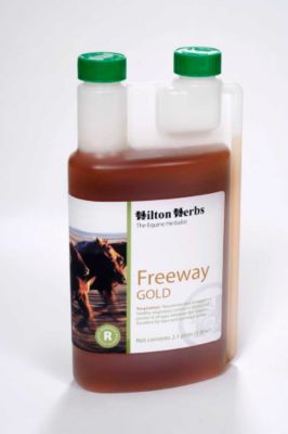 Hilton Herb Freeway Gold