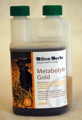 Hilton Herbs Metabolyte Gold