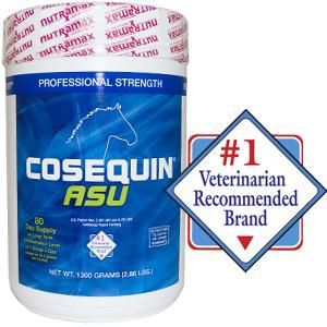 Cosequin ASU Powder