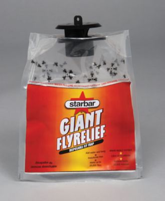 Starbar Giant Fly Relief Trap Best Price