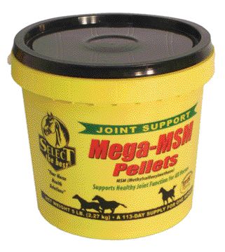 Select Mega MSM Supplement