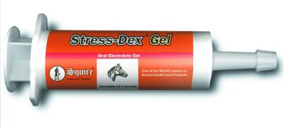 Neogen Stress-Dex Gel Best Price