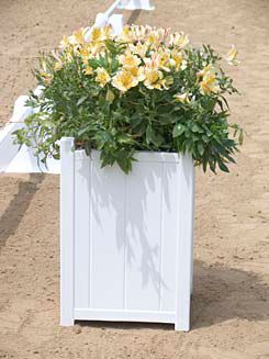 Burlingham Sports Arena Flower Box