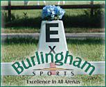 Burlingham Sports Arena Markers (Set of 8)