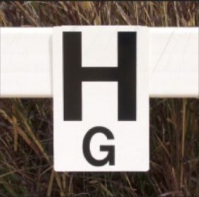 Burlingham Sports Rail and Wall Arena Letters Best Price