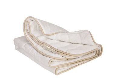 Back on Track Therapeutic Mattress Overlay Pad Best Price