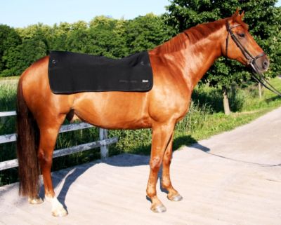 Back on Track Therapeutic 3' x 3' Back Pad Best Price