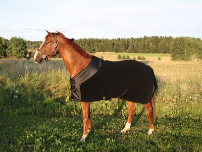 Back On Track Therapeutic Fleece Blanket Best Price