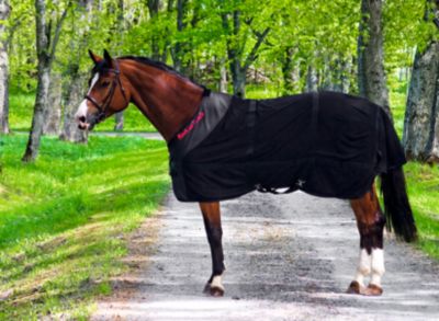 Back On Track Therapeutic Mesh Sheet Best Price