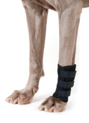 Back On Track Therapeutic Dog Leg Wraps