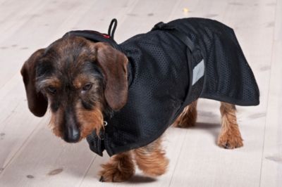 Back On Track Therapeutic Mesh Dachshund Blanket Best Price