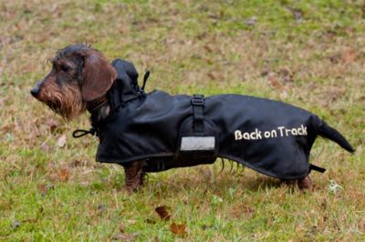 Back On Track Regular Therapeutic Dachshund Dog Blanket Best Price