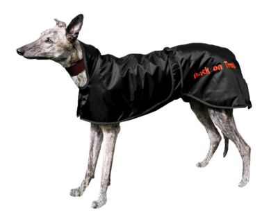 Back On Track Regular Therapeutic Greyhound Dog Blanket Best Price