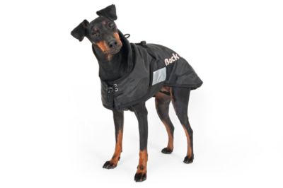 Back On Track Regular Therapeutic Dog Blanket Best Price