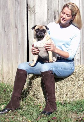 Barnstable Kids Custom Suede Velcro Half Chaps