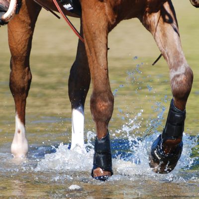 Cashel Duralite Splint Boot