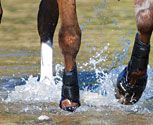 Cashel Duralite Splint Boot