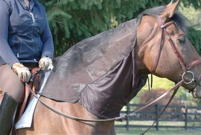 Cashel Quiet-Ride Hood Best Price