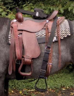 Cashel Step-Up Stirrup in a Bag