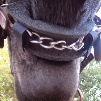 Cashel Curb Chain Channel