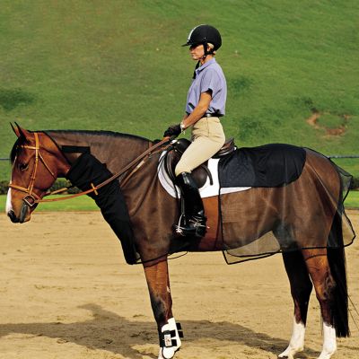 Cashel Quiet Ride Bug Armor Front Best Price