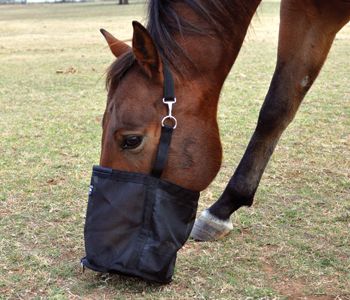 Cashel Feed Rite Bag