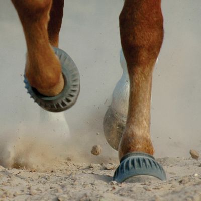 Cashel Classic Rubber Bell Boots Best Price