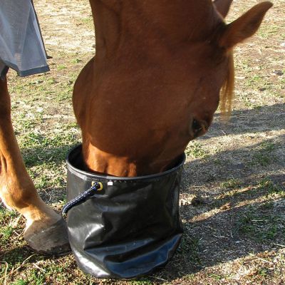 Cashel Collapsible Water Pail