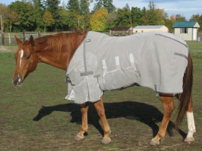 Cashel Crusader Fly Sheet