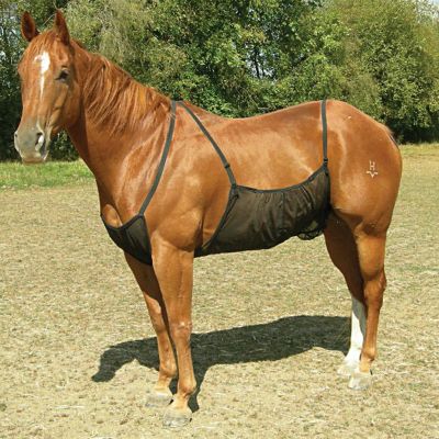 Cashel Fly Sheet Belly Guard