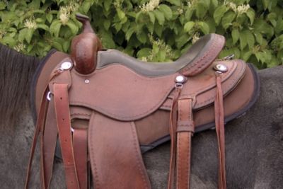 Cashel PF Rider Shaped Saddle Pad Best Price