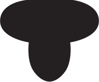 Cashel Race and Exercise Shaped Cushion Pad