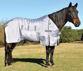 Cashel Crusader Lightweight Fly Sheet Best Price