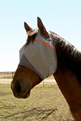 Cashel Animal Rescue Benefit Fly Mask Best Price