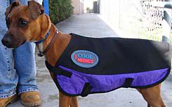 CoolMedics Canine Cooling Coat Best Price