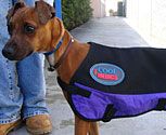 CoolMedics Canine Cooling Coat