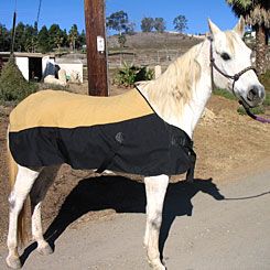 CoolMedics Cooling Equine Full Horse Blanket Best Price