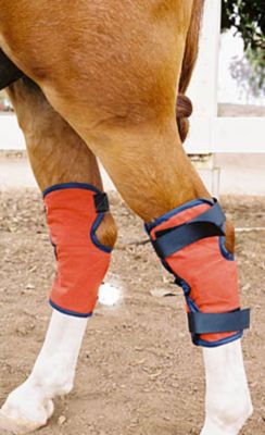 CoolMedics Equine Cooling Hock Boots