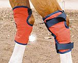 CoolMedics Equine Cooling Hock Boots