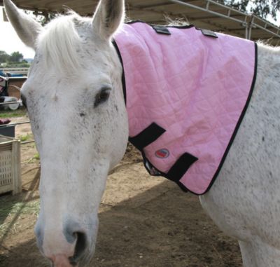 CoolMedics Equine Neck Cooler