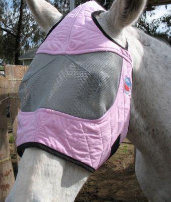 CoolMedics Cooling Fly Mask Best Price