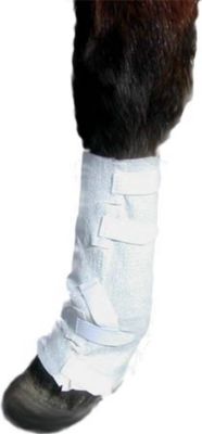 TAPEless Lower Leg Dressing Holder