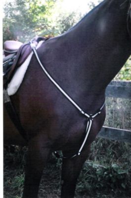 Horse e Lites Sports Reflective LED Horse Breastcollar Best Price