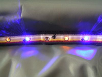 Dog e Lites Bear Paw Flashing LED Dog Collar