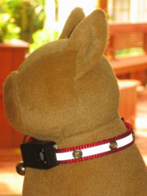 Dog E Lites Sports Reflective Kit E Lites Led Cat Collar