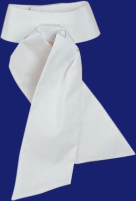 Devon-Aire Plain Broadcloth Stock Tie