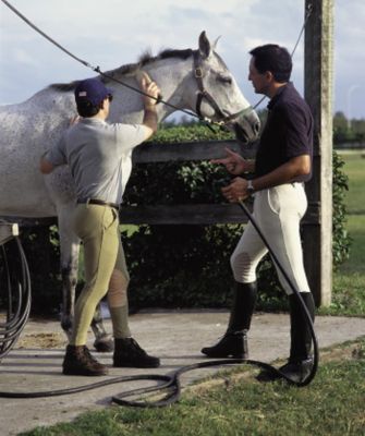 Devon-Aire Mens Cotton Classic Knee Patch Riding Breeches<font color=#000080>  - SIZE:  34 Regular  COLOR:  White</font> Best Price