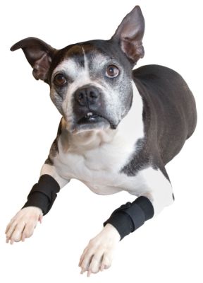 Draper Canine Therapy Doggie Wraps