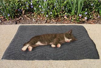 Draper Canine Therapy Cat Mat Best Price